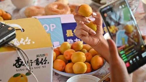 新疆网红吃瓜事件视频,一场网络狂欢背后的真相揭秘