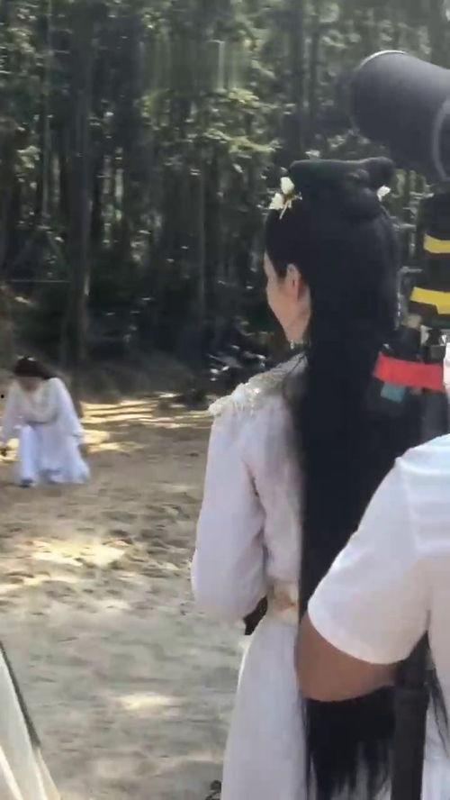 明星偶遇吃瓜群众视频大全,吃瓜群众镜头下的精彩瞬间大盘点