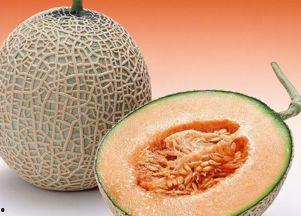 小夫请吃哈密瓜的故事视频