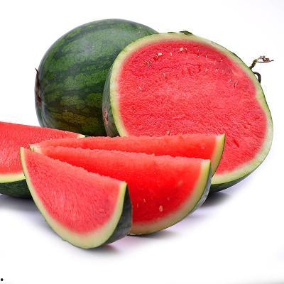 吃无籽瓜视频大全图片欣赏,视频大全图片赏析