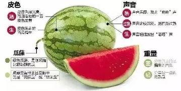 微信视频吃瓜,网络舆论场上的“瓜王”诞生记