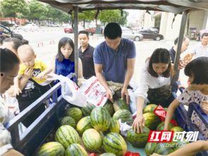宁乡吃瓜视频,揭秘当地美食文化盛宴