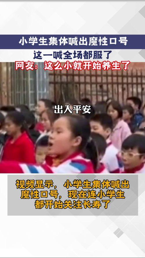 吃瓜网友团队介绍大全视频,从介绍大全视频看网络舆论风向标